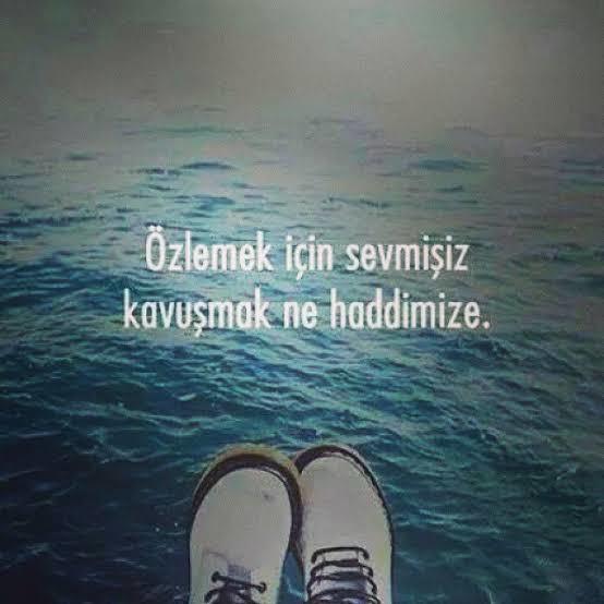 Birine duyulan özlemin çaresi sizce kavuşmak mıdır yoksa unutmak mı?