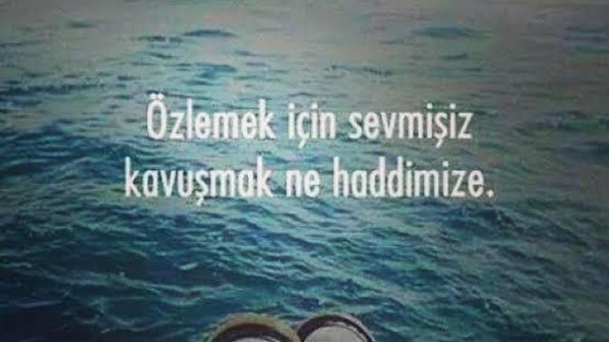 Birine duyulan özlemin çaresi sizce kavuşmak mıdır yoksa unutmak mı?