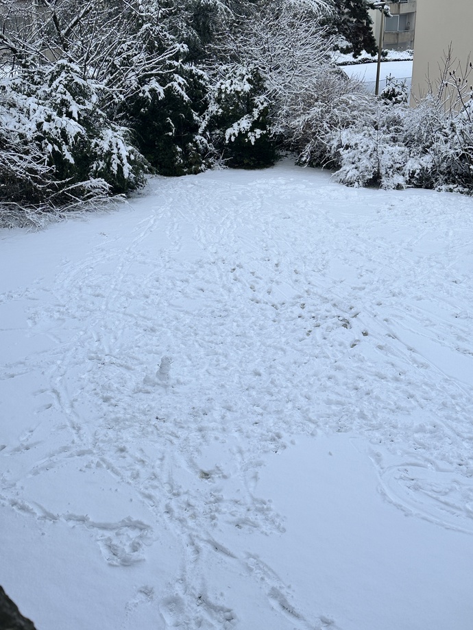 Oyş ☃️🥹