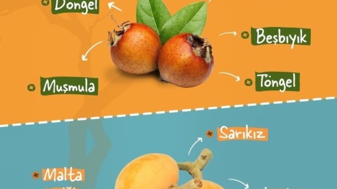 Sizin memlekette bu meyvelere ne denir?