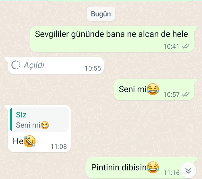 14  Şubatta sevgilin hediye almazsa ona kızar mısın?