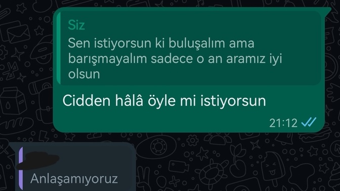 Sizce eski sevgilimin amacı düşündüğüm gibi mi?
