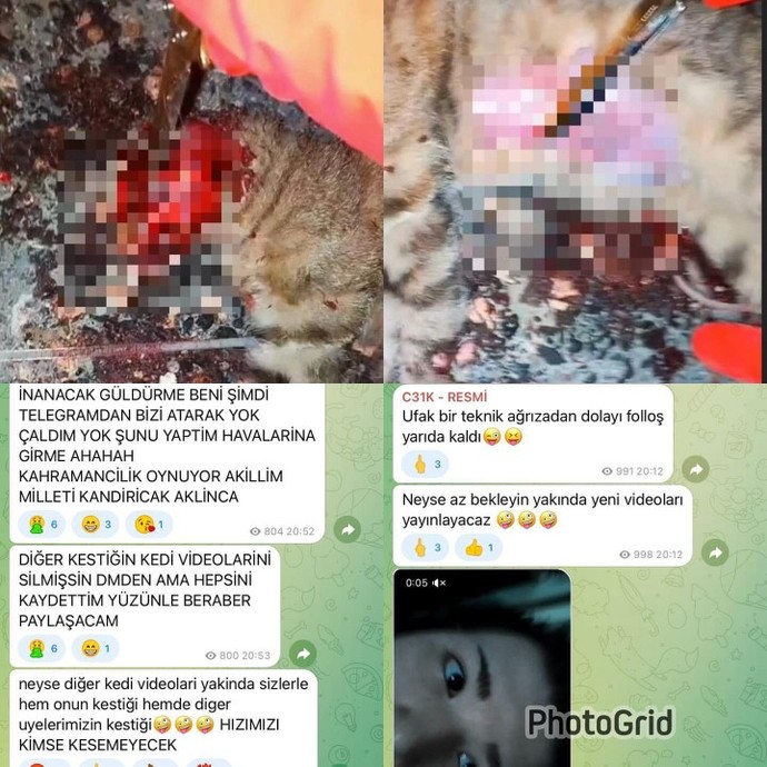 C31K grubunu duymayan kaldı mı?