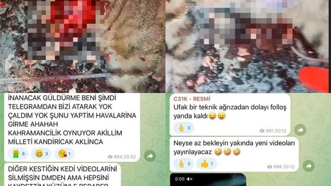 C31K grubunu duymayan kaldı mı?