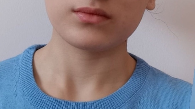 Sizce nasıl gizlenme bsşarıli mi?