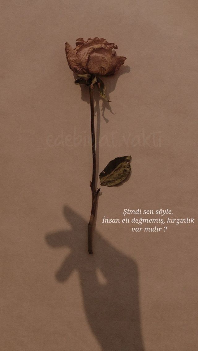 Sen neye kırıldın?
