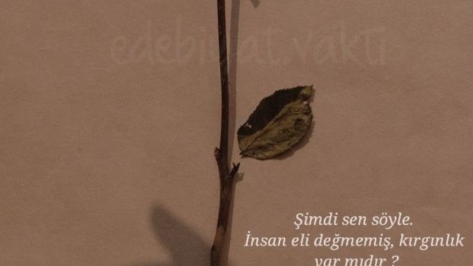 Sen neye kırıldın?