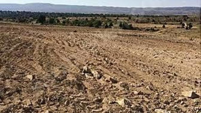 Türkiye’de boş arsalar neden bu kadar değerli?