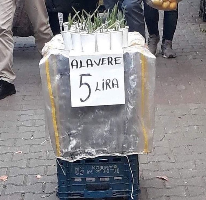 "Tüm yazım yanlışlarını unutun, en kötüsü bu" dediğiniz o yazım yanlışı yapılan kelime hangisi?
