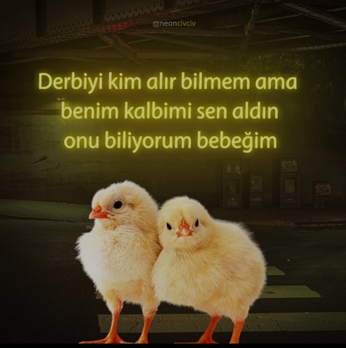 Kalbinizi alan biri var mı?