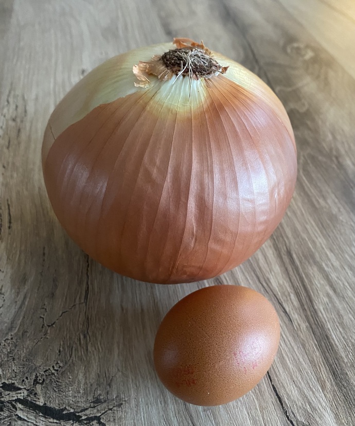 Sizce bu soğan kaç gram?