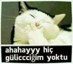 😂