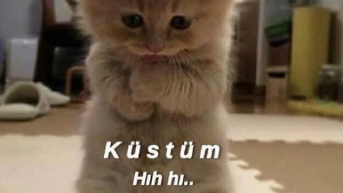 Küskünlüğünüz uzun sürer mi?