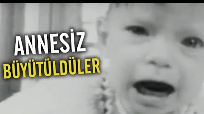 Psikoloji okurken benim psikolojim bozuldu ne yapacağım?