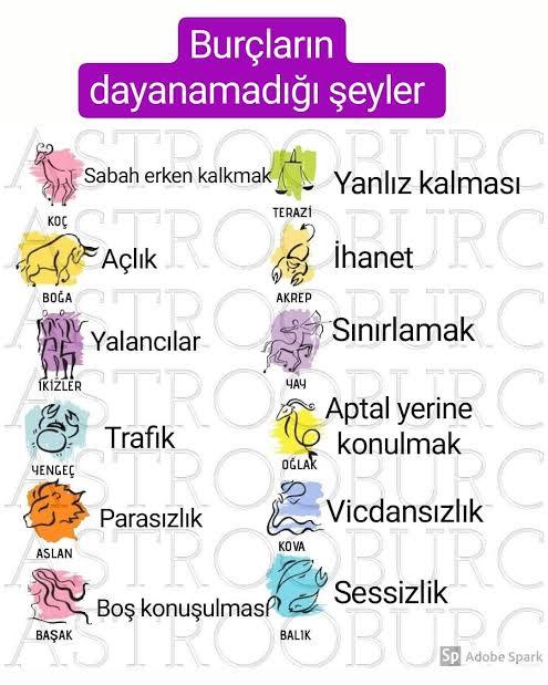 Burcunuza göre dayanamadığınız şey nedir?