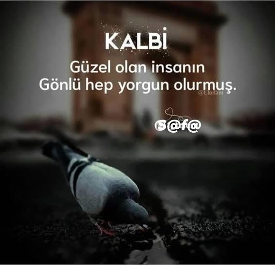 İlk kalpmi sever yoksa gözler mi?