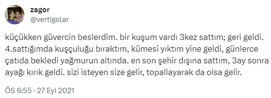 Daha çok bahane bulan mı, çözüm bulan mısın?
