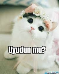 Sohbet başlatmak için yazdığın en garip mesaj ne?
