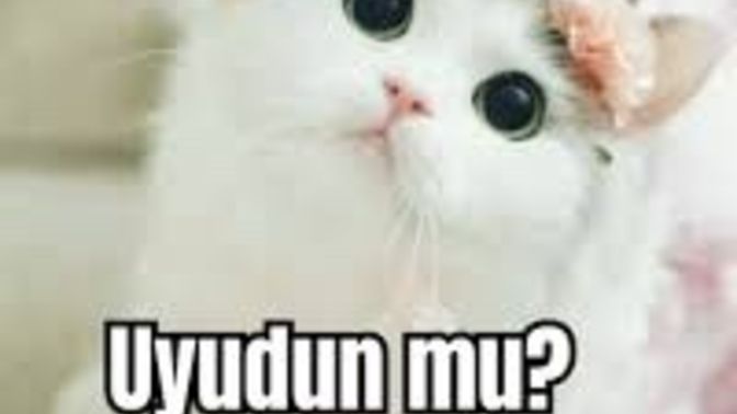 Sohbet başlatmak için yazdığın en garip mesaj ne?