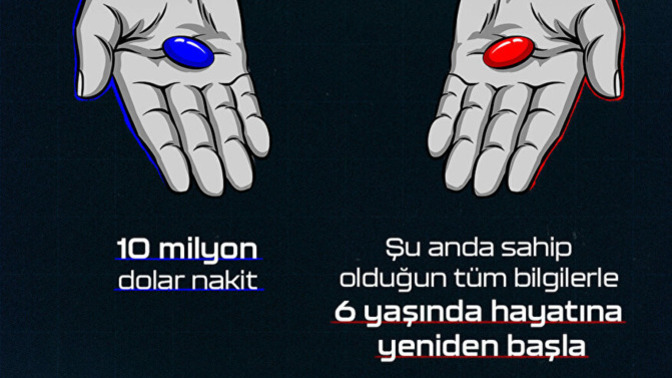 Hangisini alırdın?