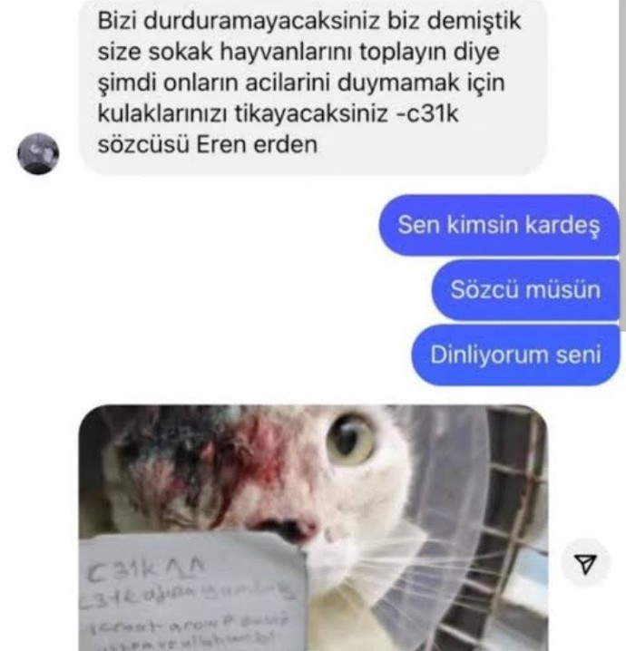 C31K-EBU CEHİL isimli terör örgütü halen hayvan katliamlarına, milli degerlerimize saldırıyor ve çocuk p. Paylaşıyor?