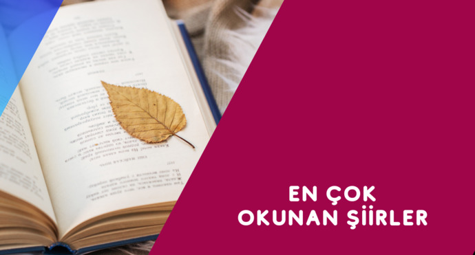 Şiirle ilgileniyor musunuz?