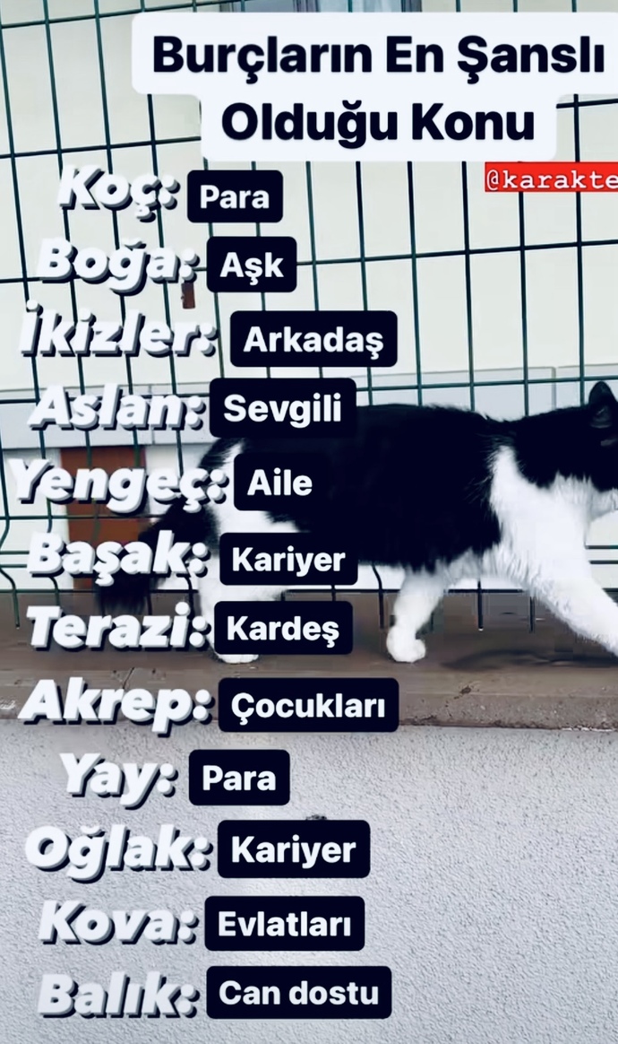 Burçların en şanslı olduğu konu nedir? Peki sen hangi konularda şanslısın?
