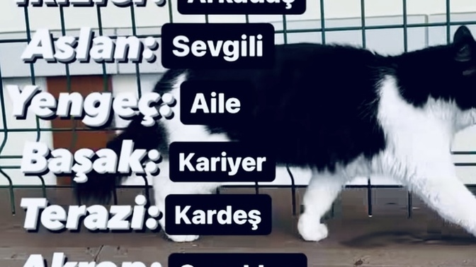 Burçların en şanslı olduğu konu nedir? Peki sen hangi konularda şanslısın?