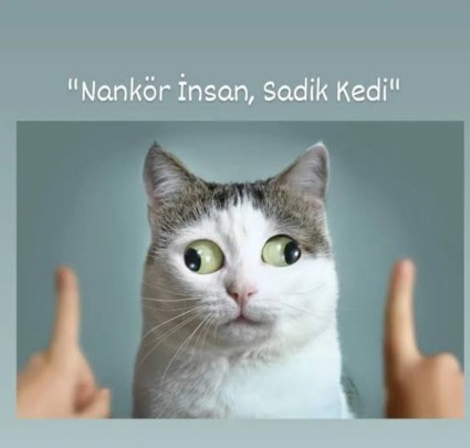 SİZE NANKÖRLÜK EDEN OLDU MU? Nankörlük edene ne yaparsınız?
