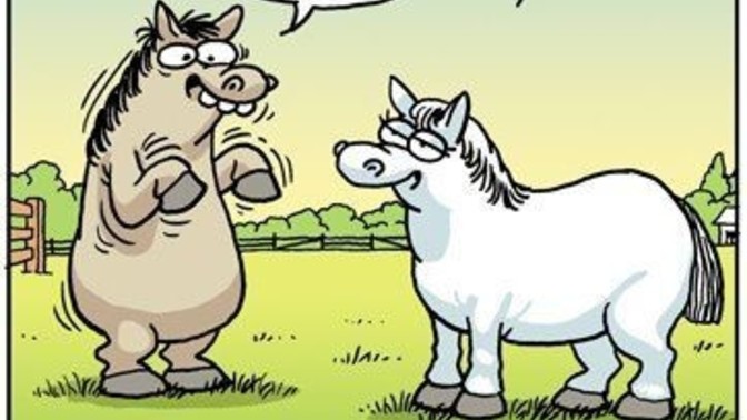 Aşkınızı nasıl gösterirsiniz?