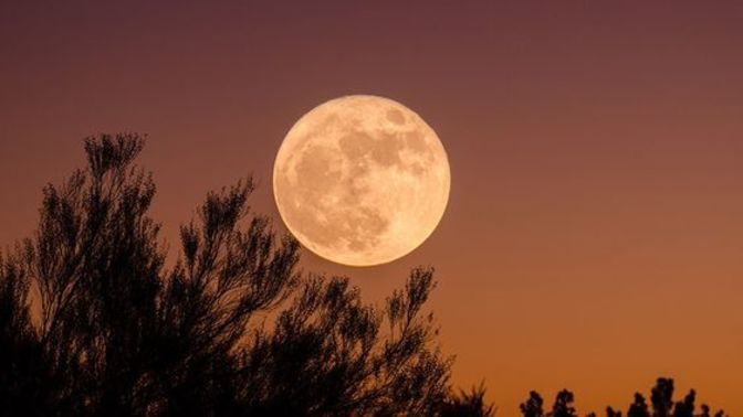 2024'ün ilk Dolunayı, 25 Ocak'ta Aslan burcunda parlıyor! Astrolojik olaylardan etkilendiğini düşünüyor musun?