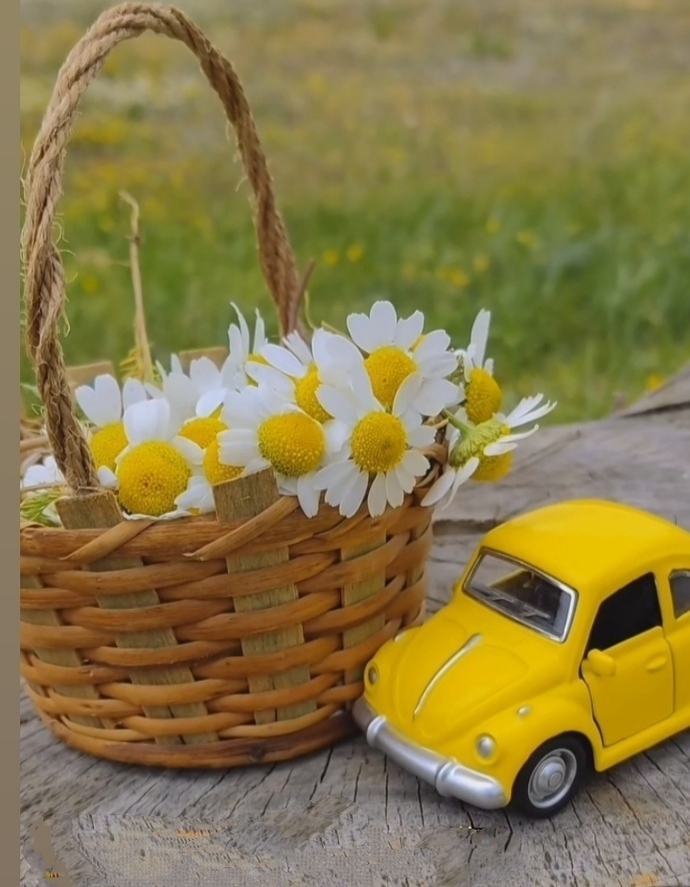 Peki zor kadın doğru kadın mıdır sizce?