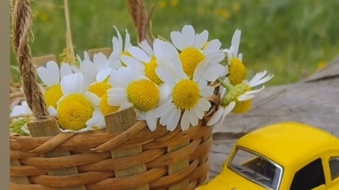 Peki zor kadın doğru kadın mıdır sizce?