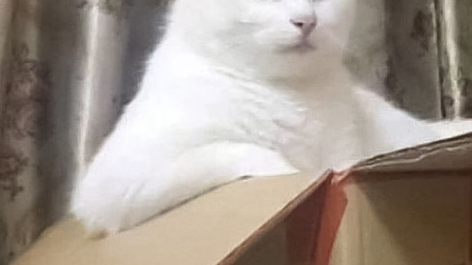 Tanımadığınız insan (lar) a gıcık kaptığınız oluyor mu?