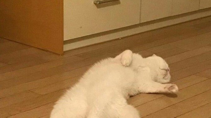 Zihinsel yorgunluk mu yoksa fiziksel yorgunluk mu sizi daha çok yorar?