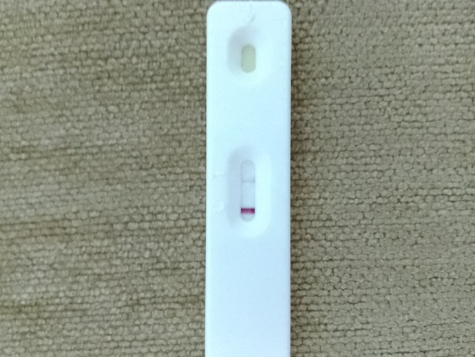 Midem çok bulanıyor sürekli kusma ve mide bulantım var acaba midemi mi usuttum dedim ama içim içimi yedi gebelik testi aldım?