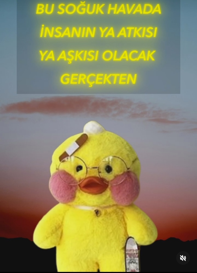 Bu soğuk havalarda neye ihtiyacınız var?