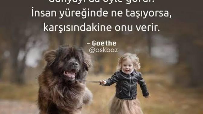 Bizi Bilen Bilir Bilmeyende , Kendi si Gibi Bilir Sözüne Katılıyor musunuz?