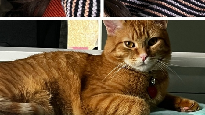 Hello günaydın! 😻 🐶 Biz uyandık, siz uyandınız mı?