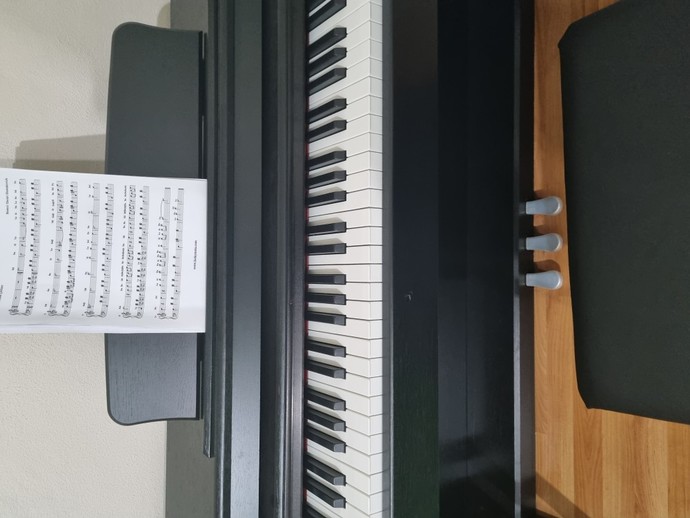 Hangi müzik aletini çalıyorsun? ya da hangisini isterdin?