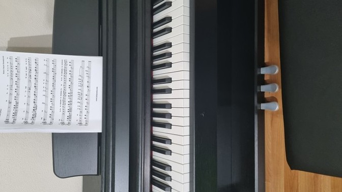 Hangi müzik aletini çalıyorsun? ya da  hangisini isterdin?