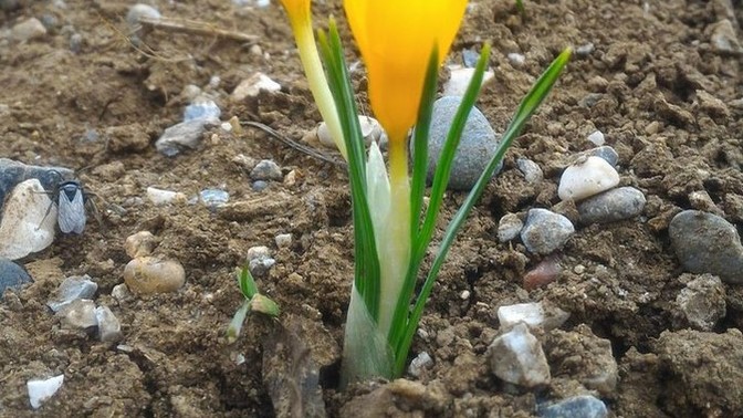 Neler sebepsiz değildir 🌱?
