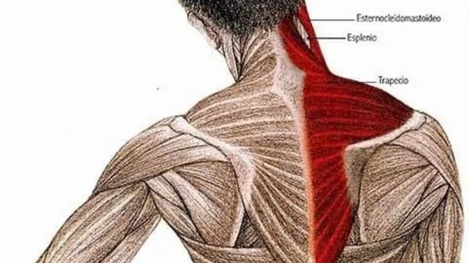 Boynum çok ağrıyor ne yapmalıyım?
