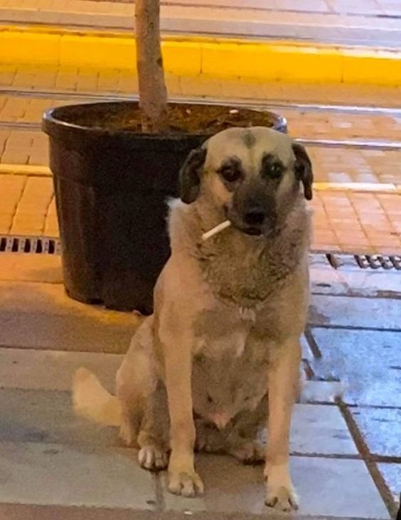 Geçinebiliyor musunuz?
