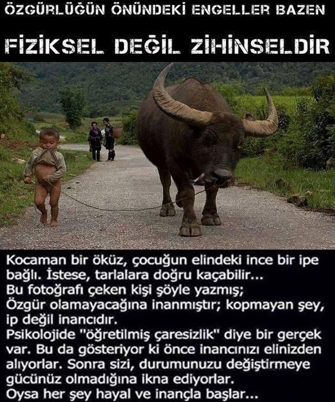 Sürekli “bekar” gibi takılmak isteyen biriyle sevgili olunur mu?