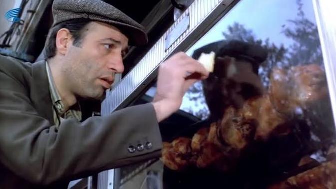 Sevilen sokak lezzeti döner de artık bir lüks oldu! Size göre hangi yemeği yemek artık bir lüks?