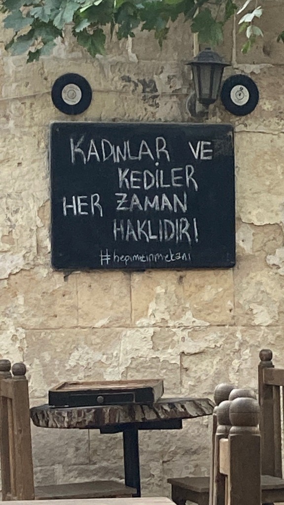 Trip atar mısınız, atana katlanır mısınız?
