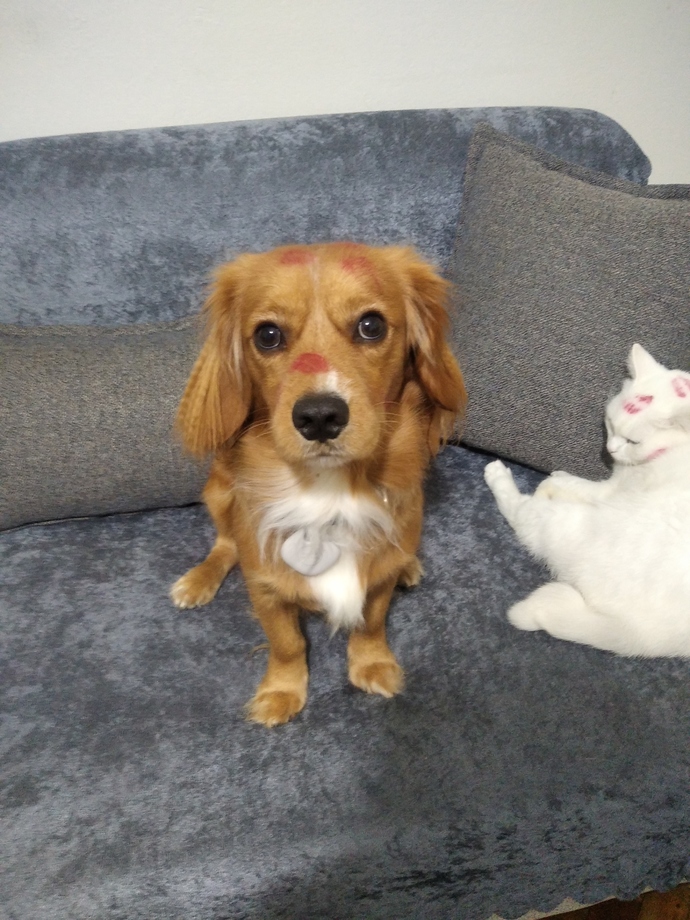 Şunun güzelligine bakar mısınız?