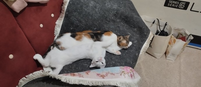Şunun güzelligine bakar mısınız?