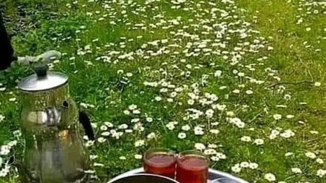 İnsan neden çok yemek yer?